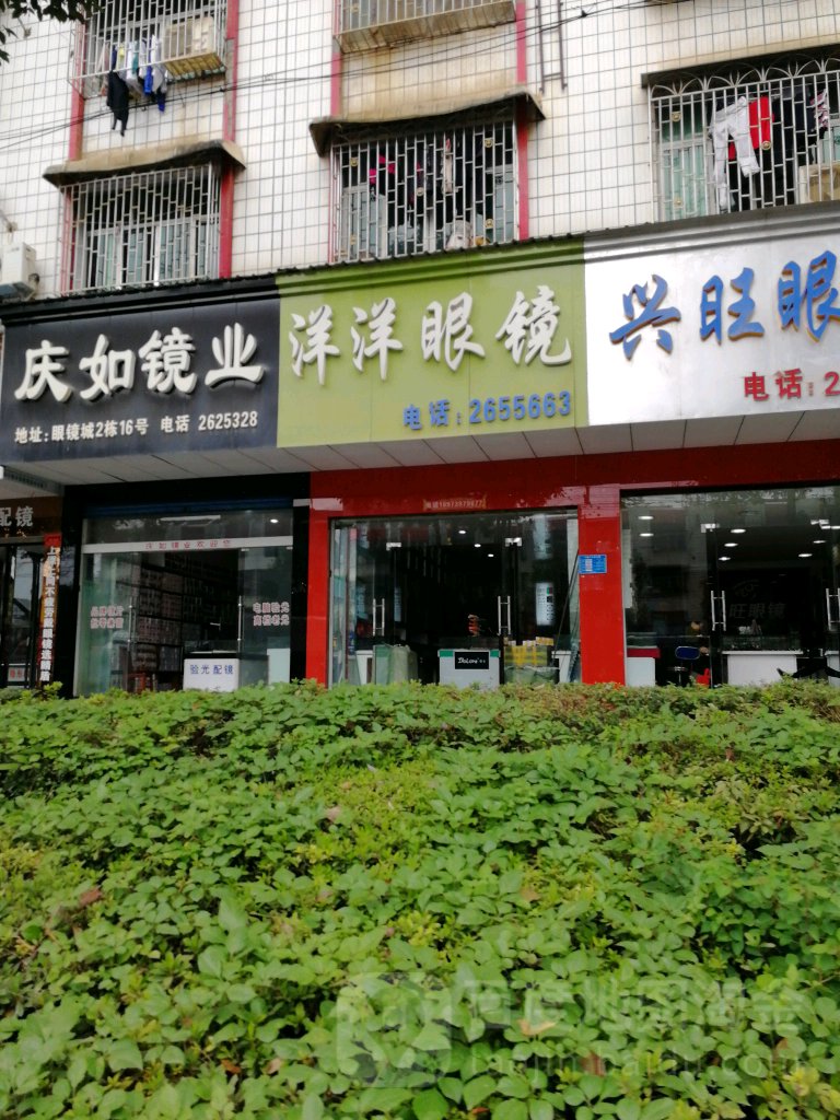 洋洋眼镜