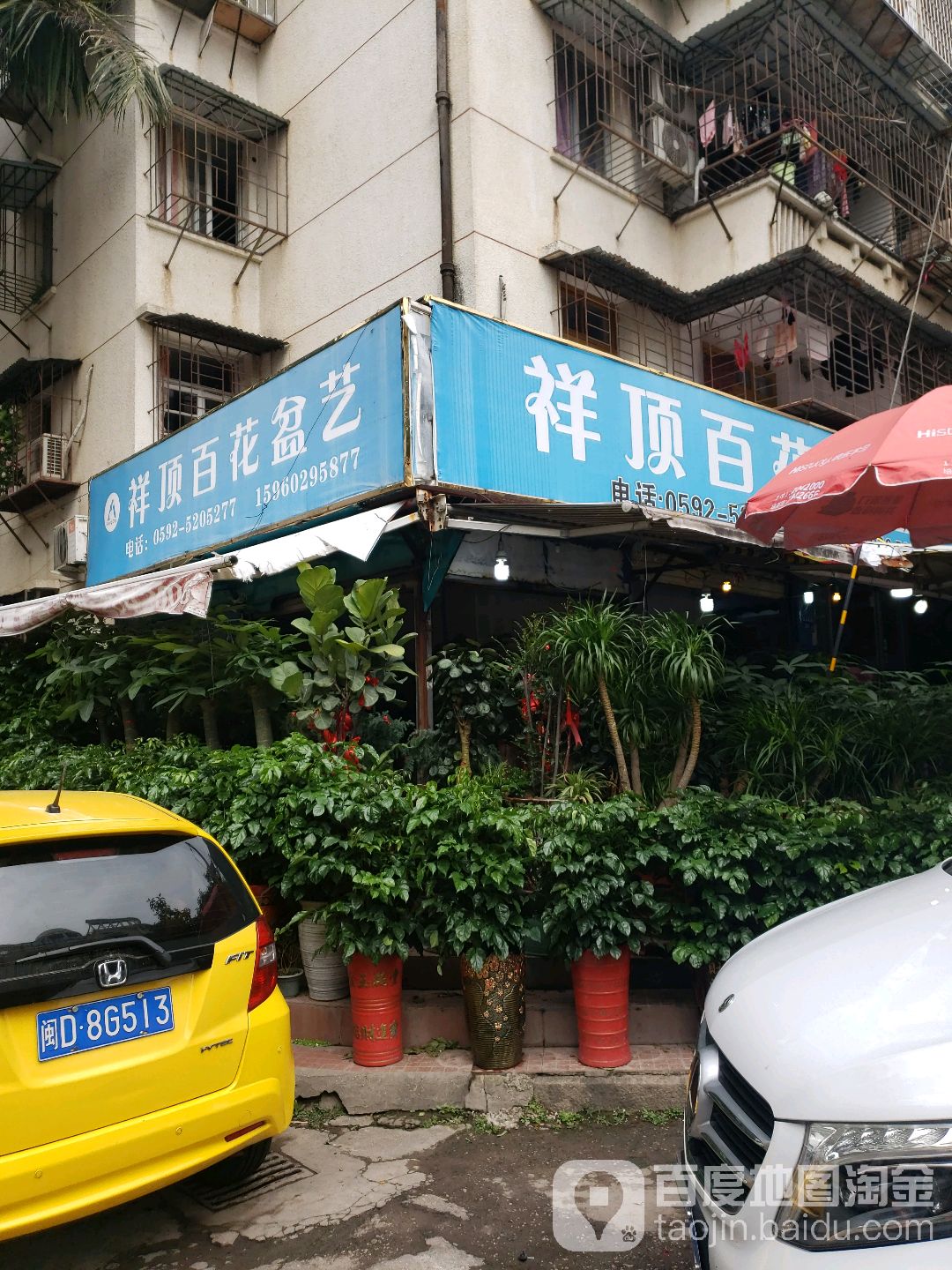 祥顶盆艺行(屿后南里店)