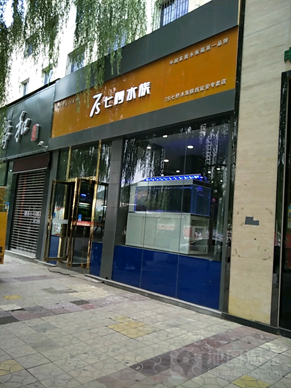 七秒水族(陕西延安专卖店)