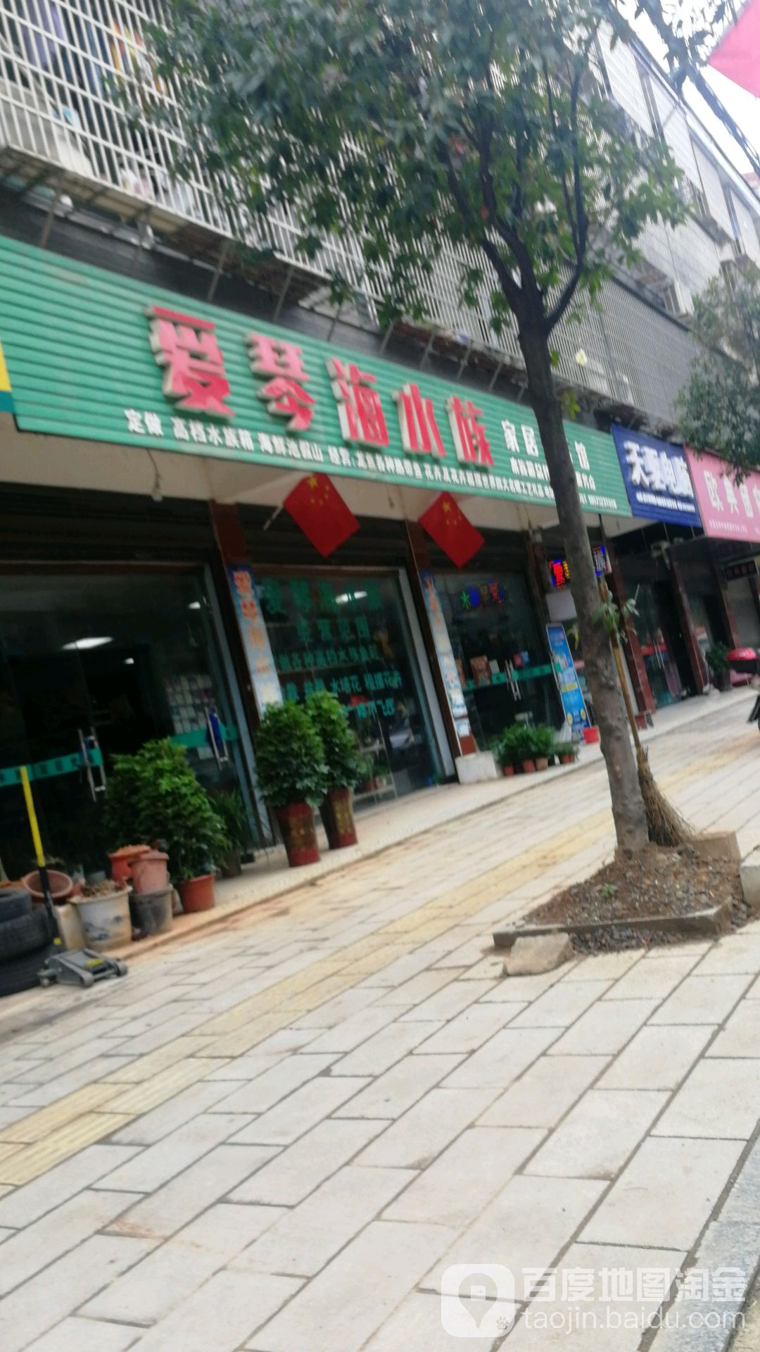 爱琴水海族