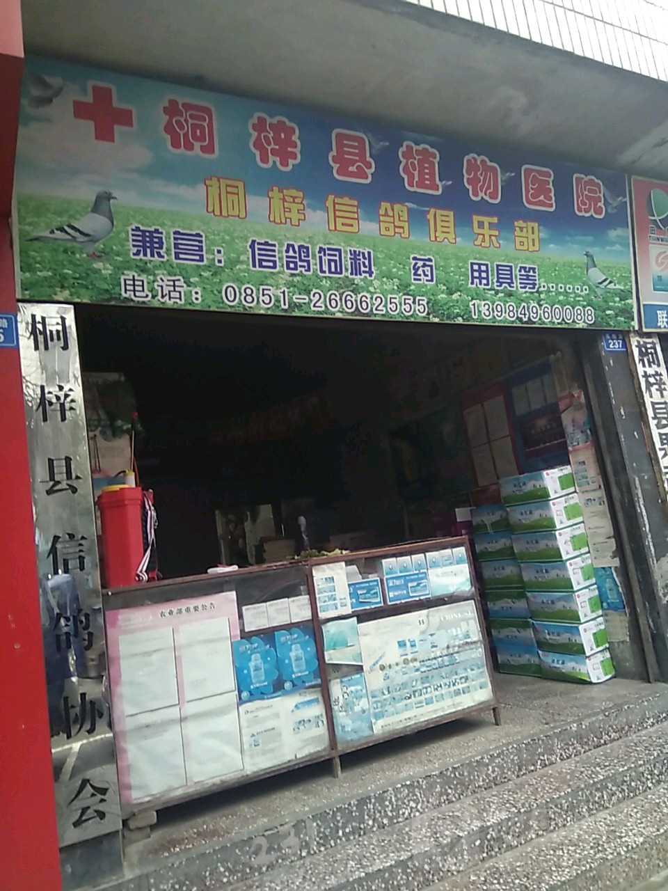 桐梓县娄山关信鸽俱乐部