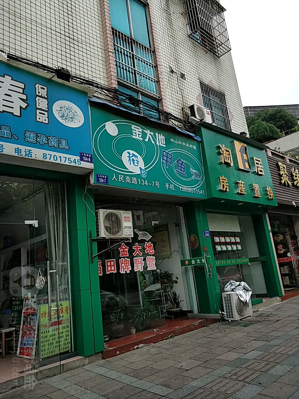 金大地稻田甲鱼