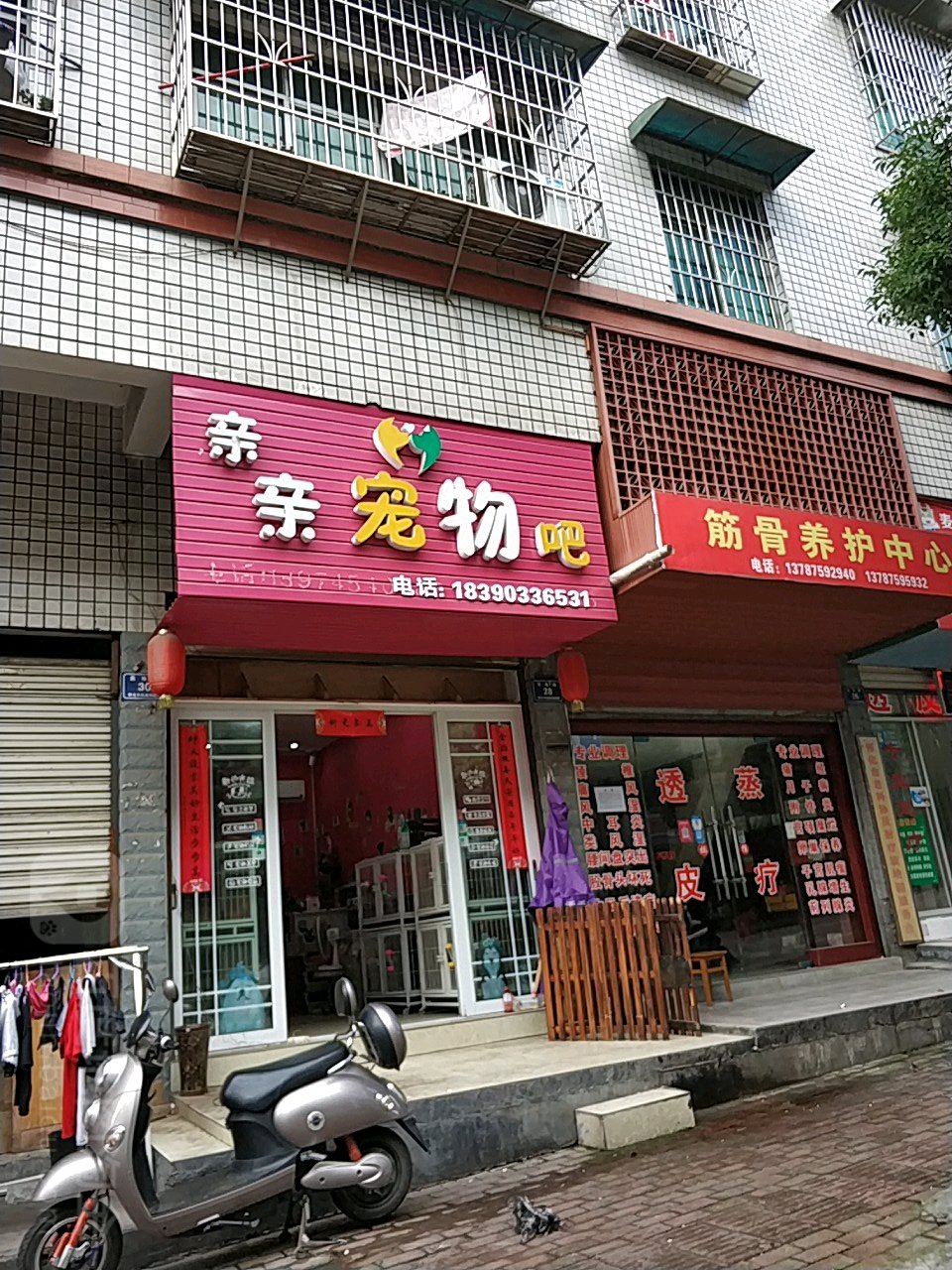 亲亲宠物吧