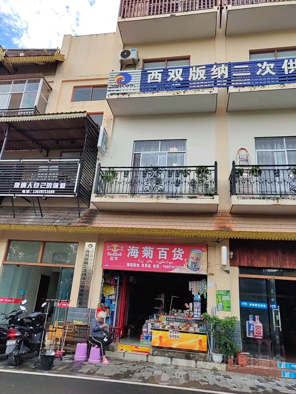 海菊大百