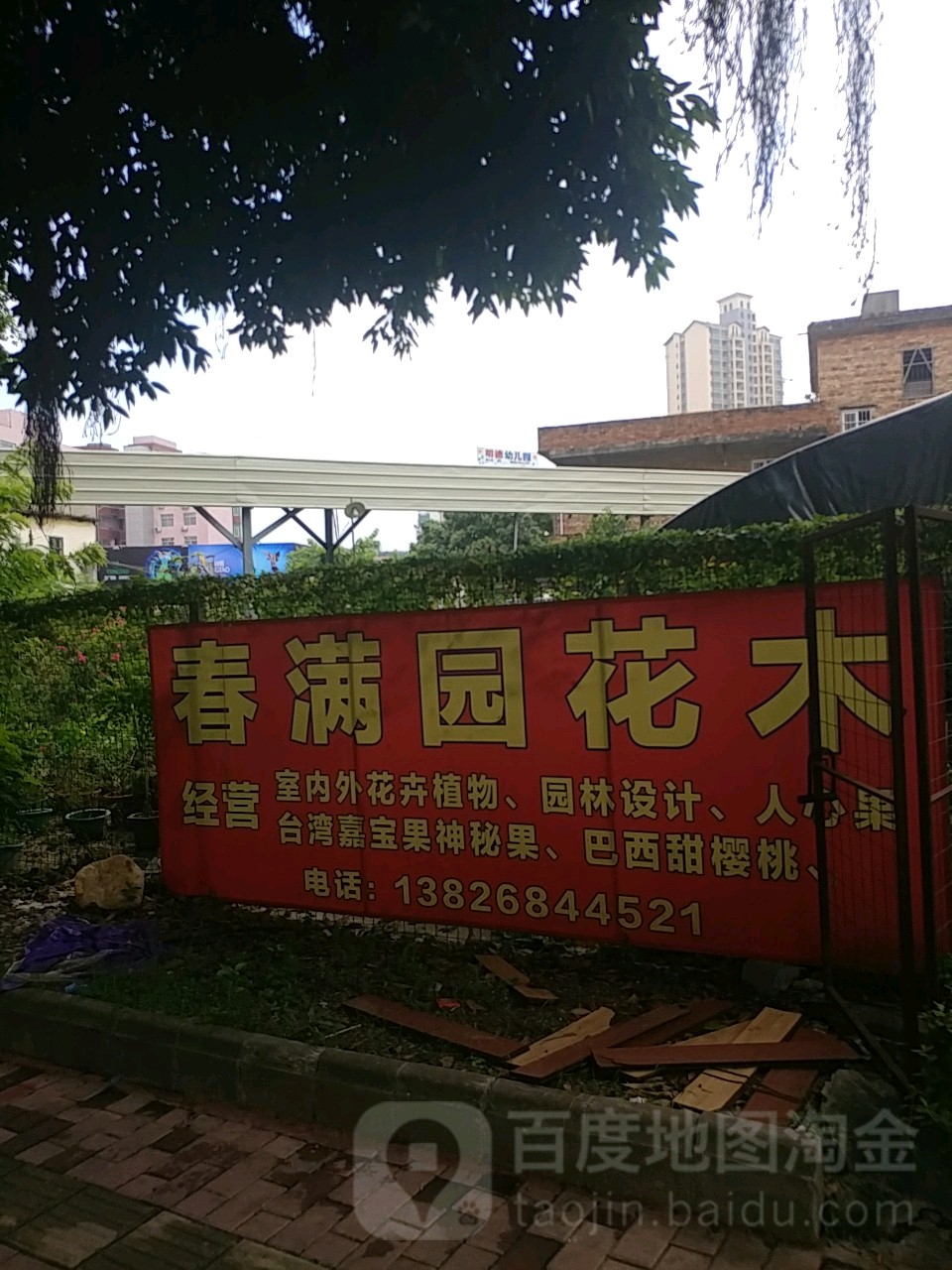 春满园花木