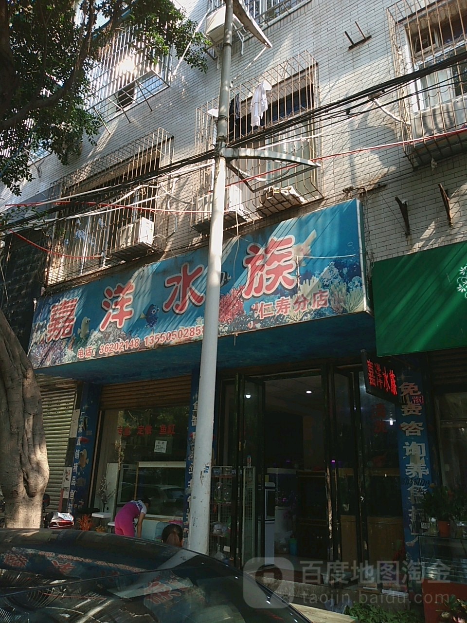 嘉洋水族(仁寿分店)