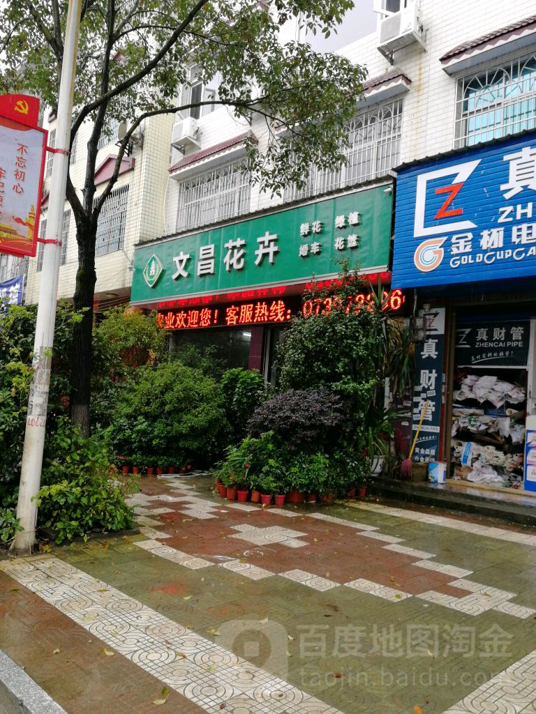 文昌花卉