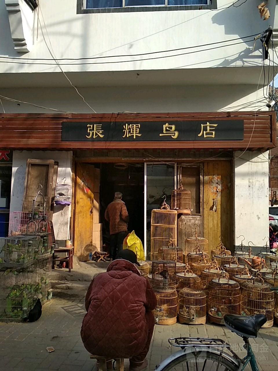 永城市张辉鸟店