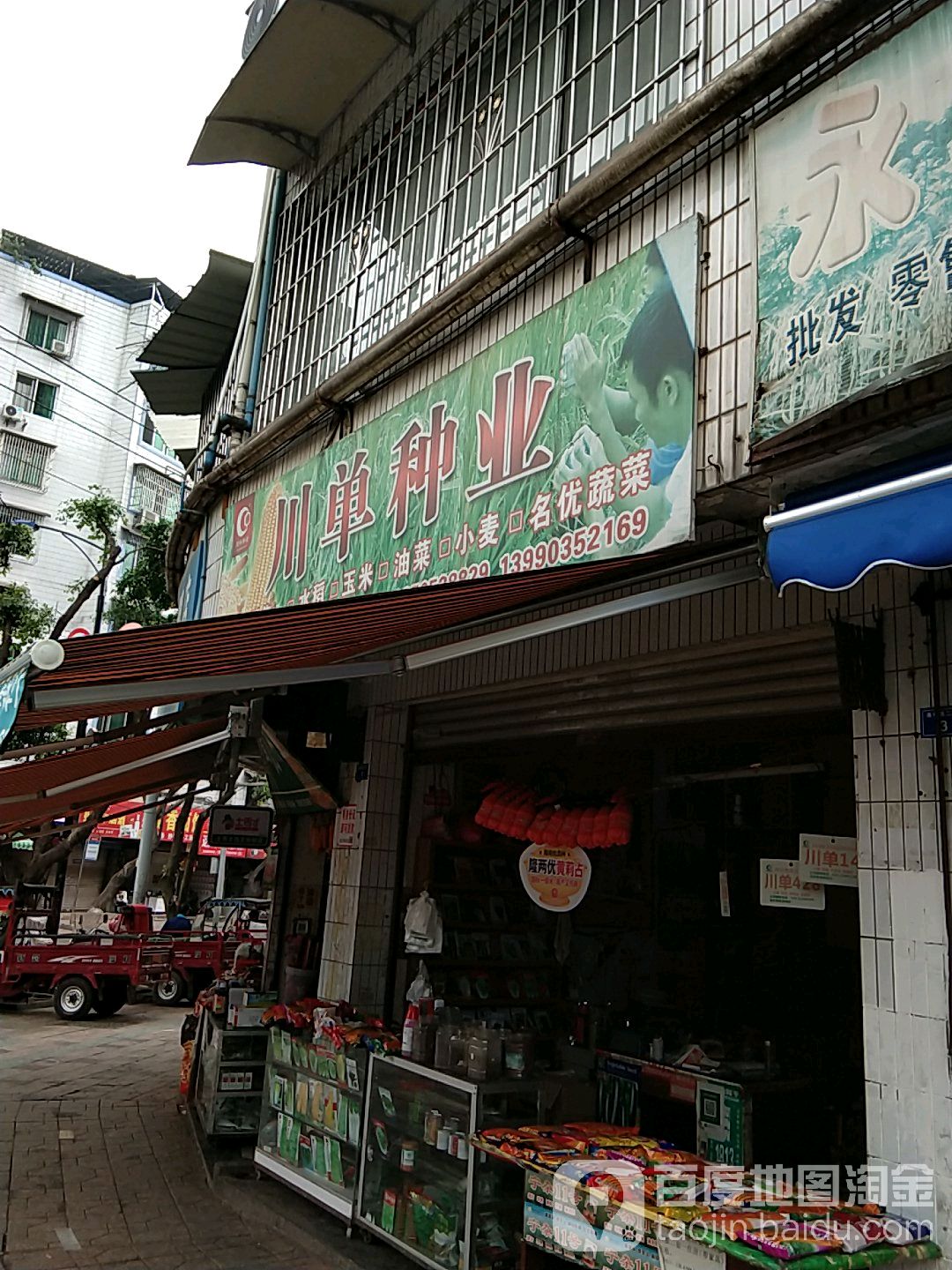 川单种夜(仁寿总经销)
