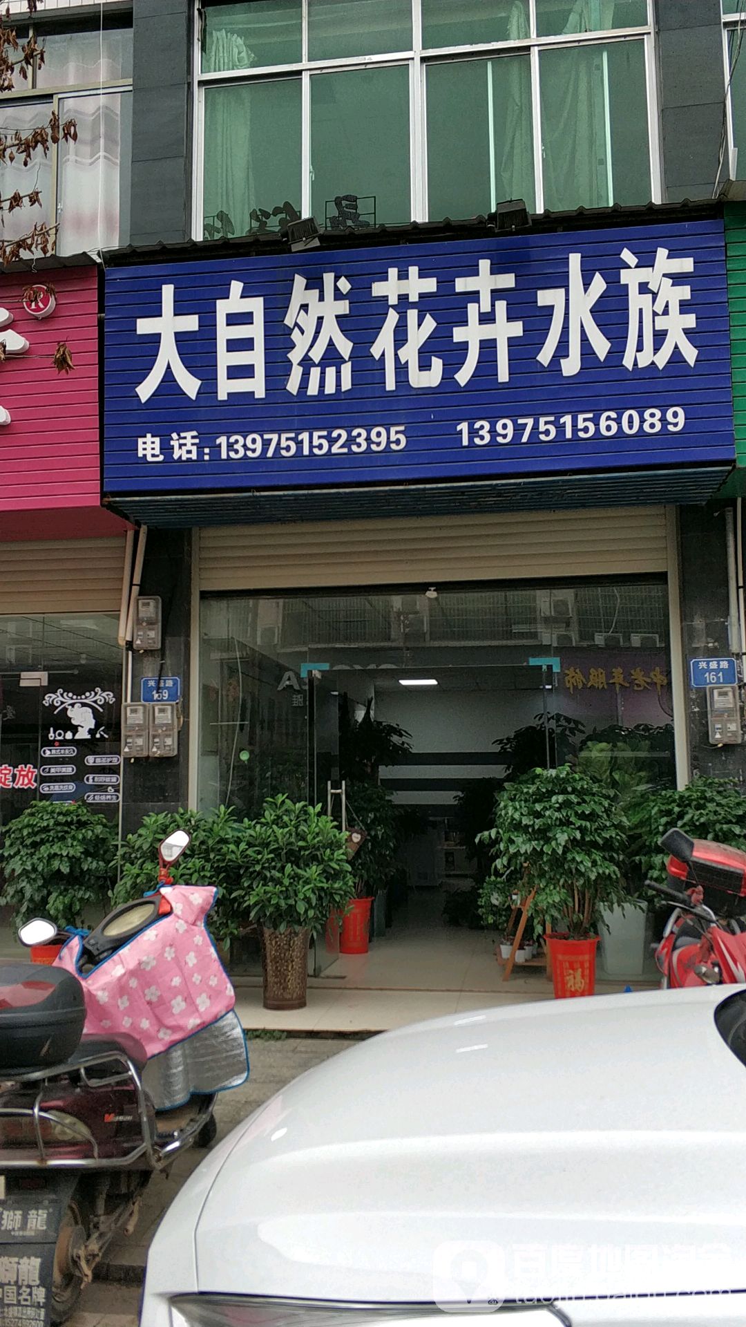 大自然花卉水族