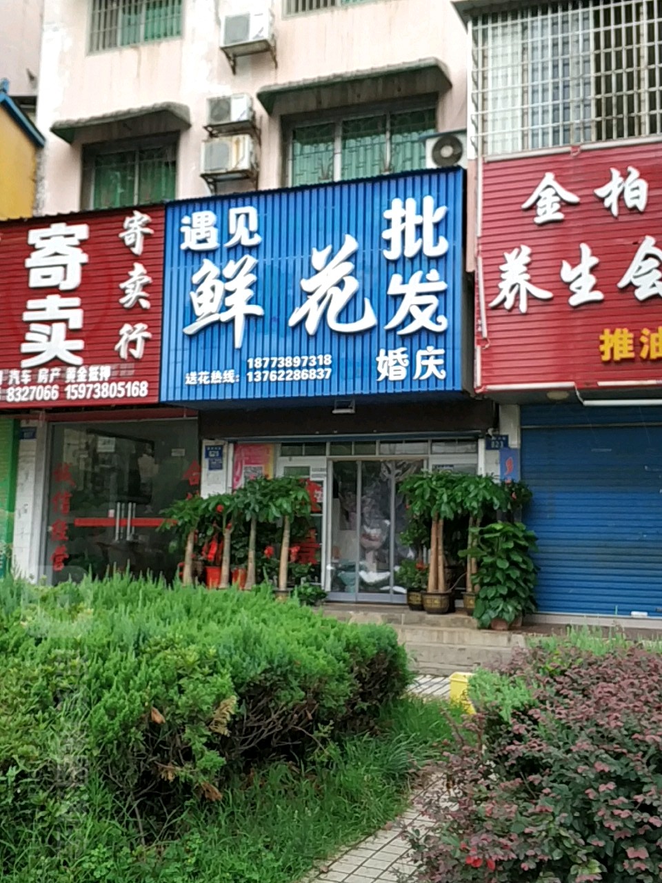 遇见鲜花批发