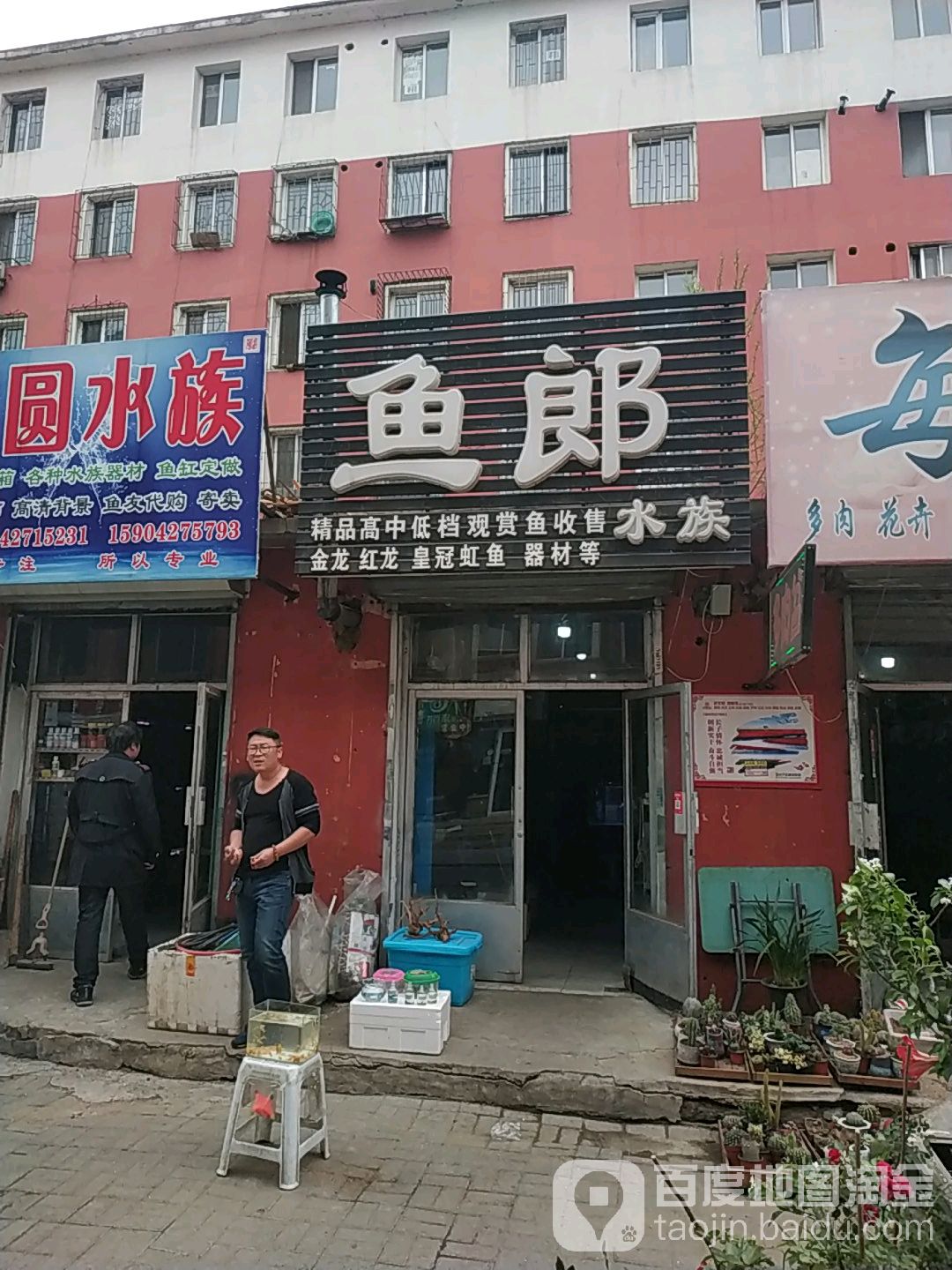 鱼朗水族