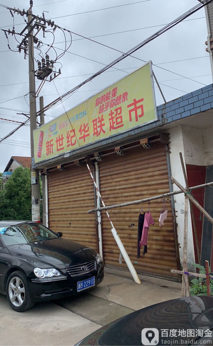 新世纪华联超市(新新路店)