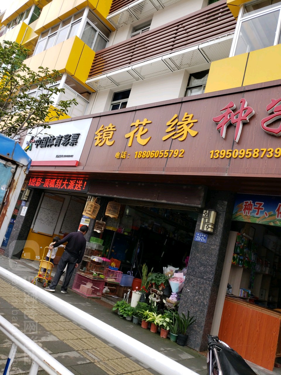 镜花缘