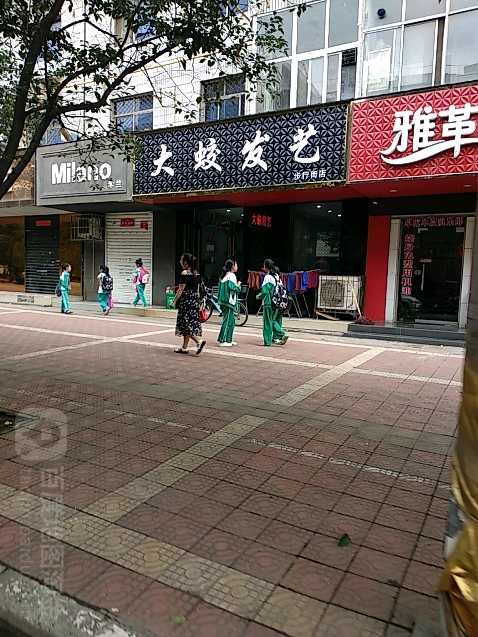 大蛟发艺(步行街店)