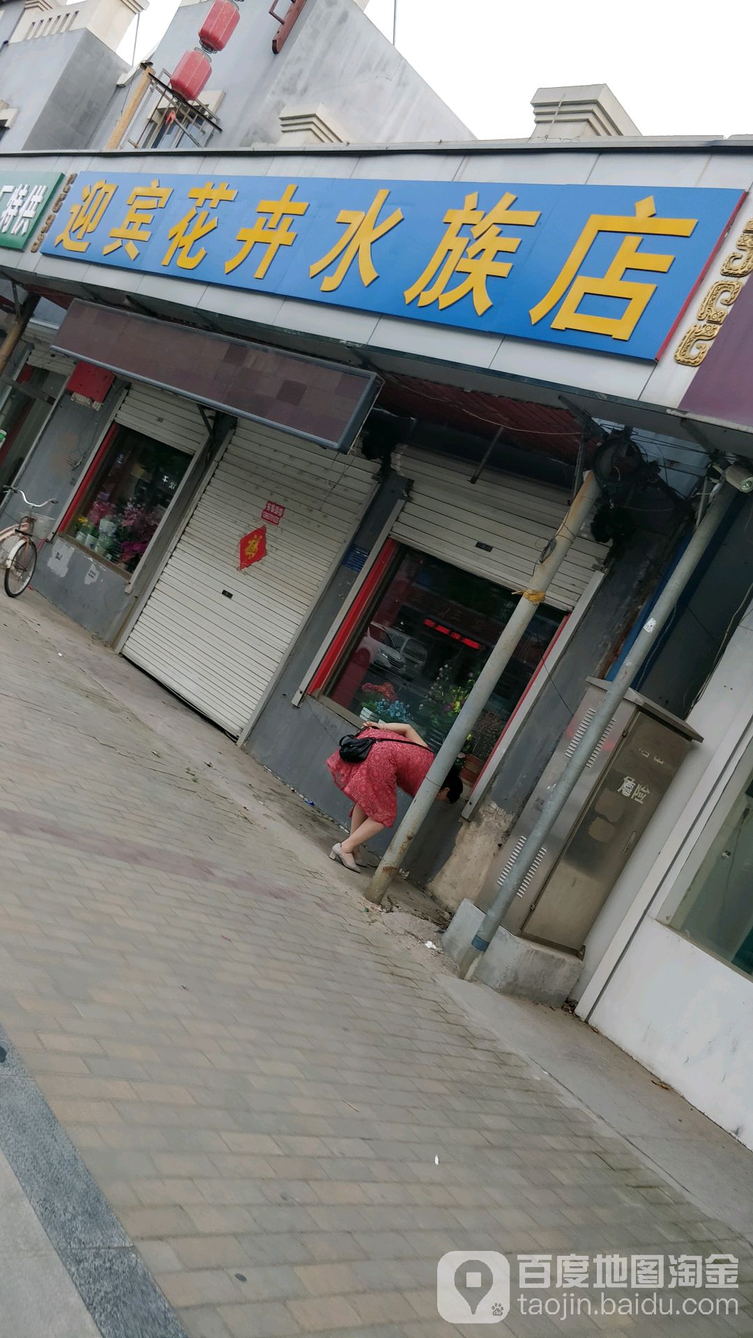 迎宾花卉水族店