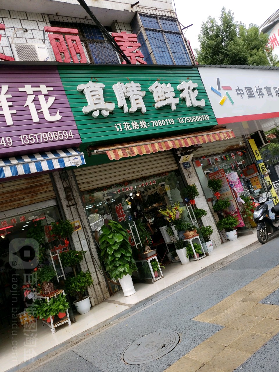真情鲜花(公园中路店)