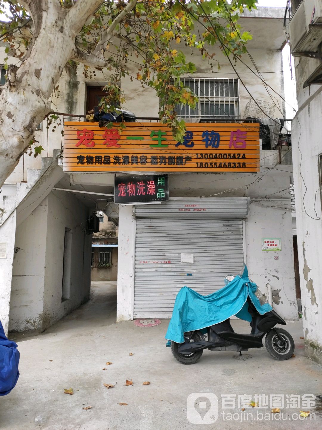 宠爱一生宠物店(电建路店)