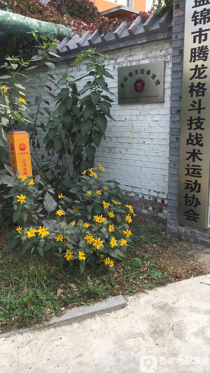 盘锦腾龙跆拳道馆