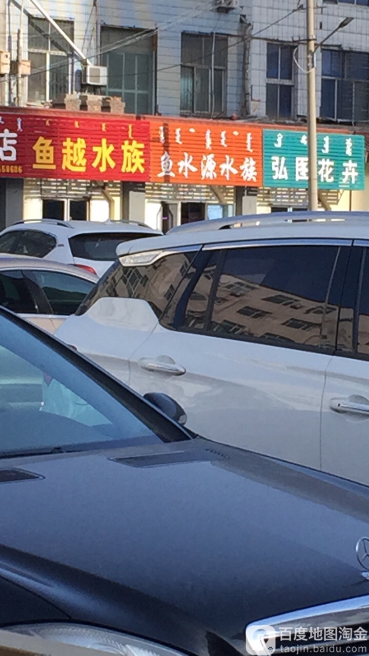 鱼水缘水族