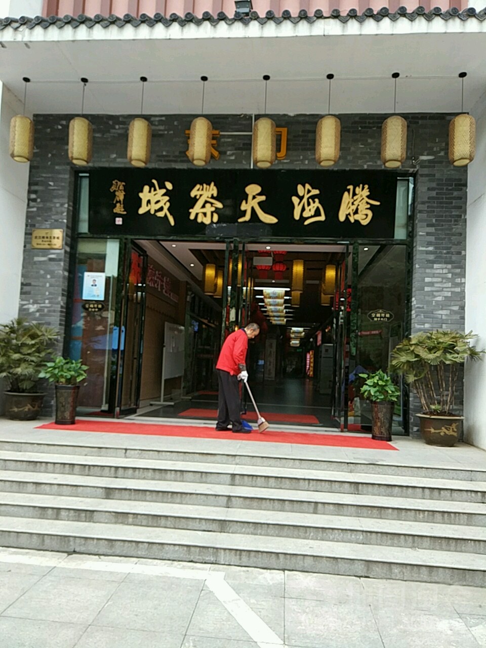 蓝焰竹叶山茶城