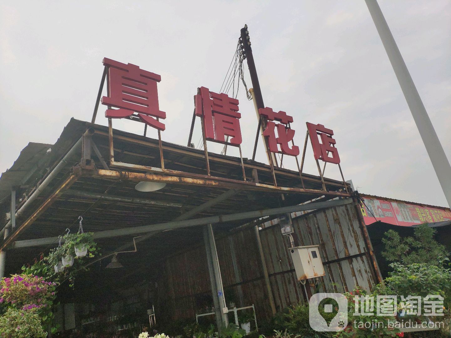 真情花店(站前西路店)