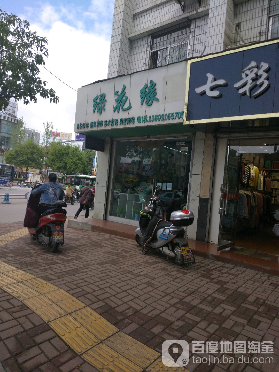 绿花缘