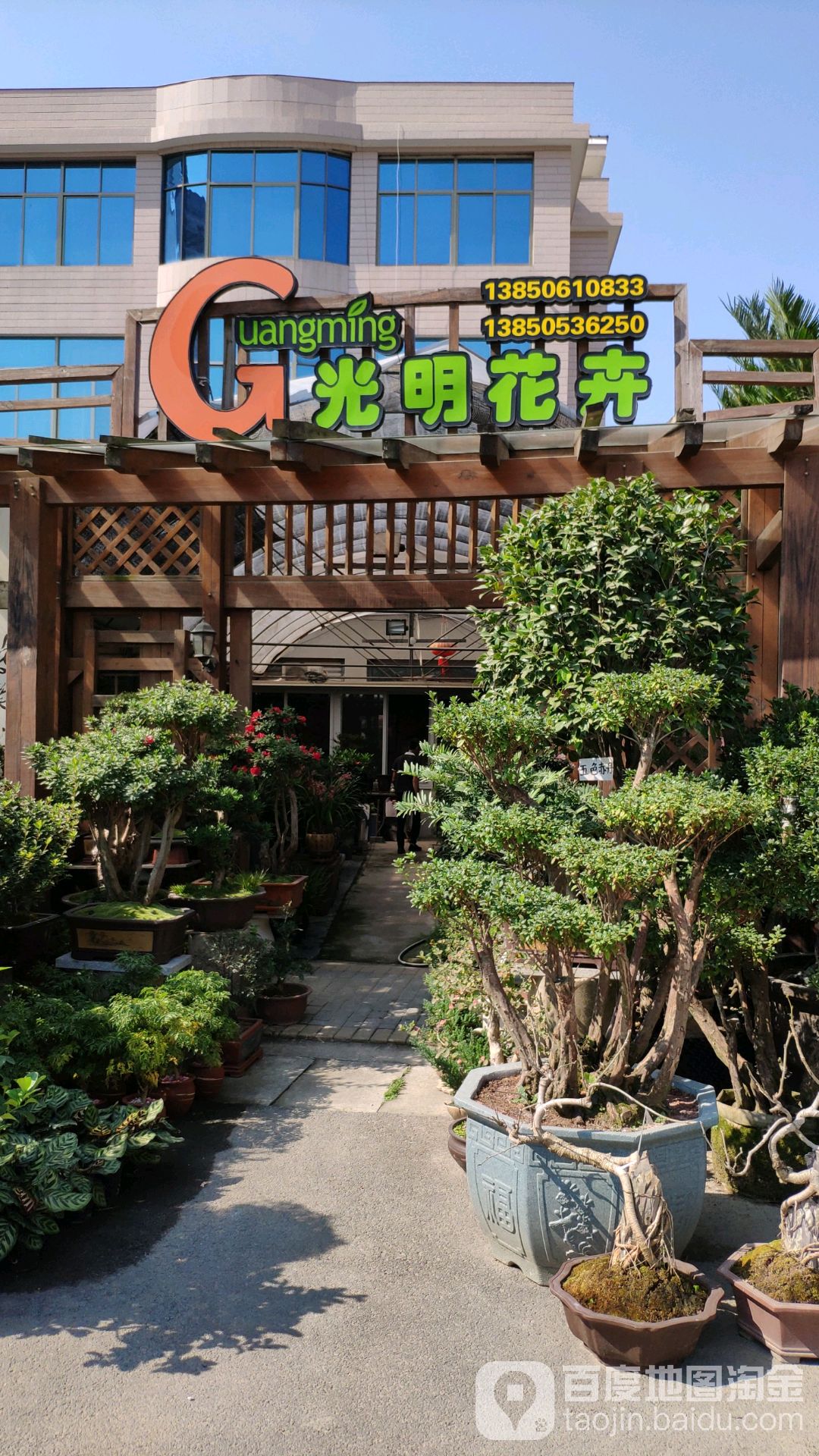光明花卉批发