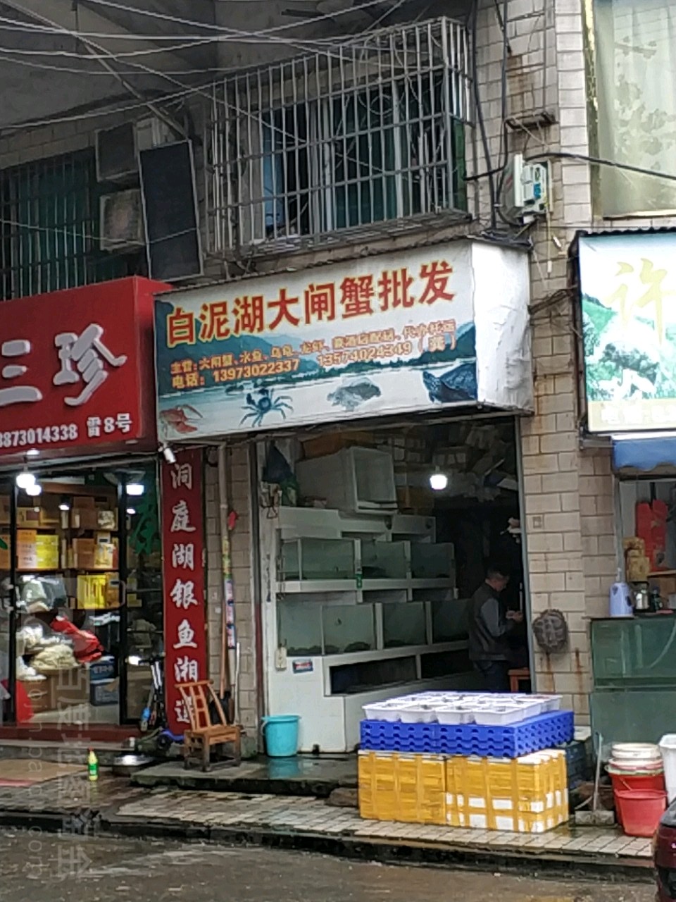 白泥湖大闸蟹批发