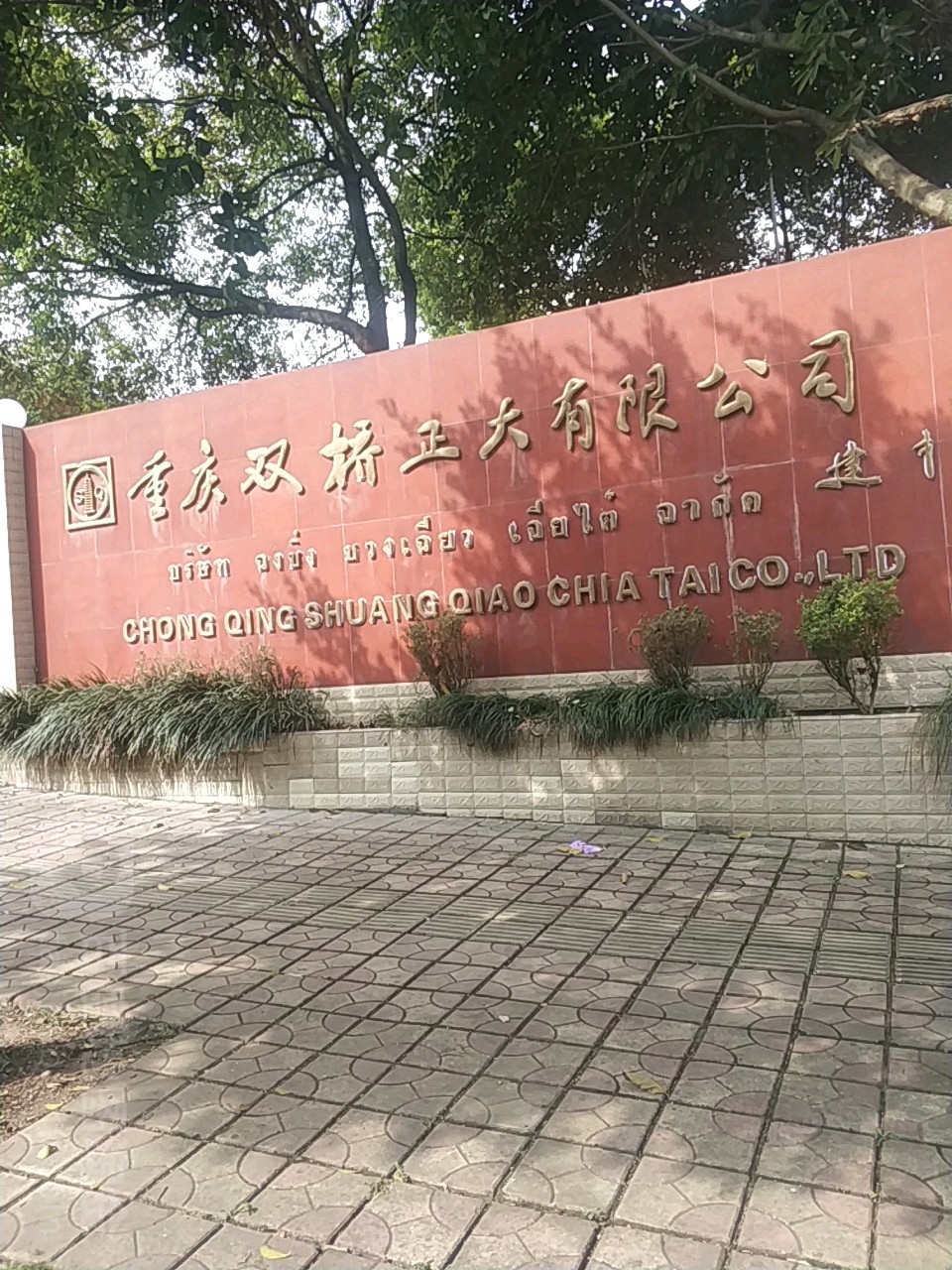 重庆双桥正大有限公司