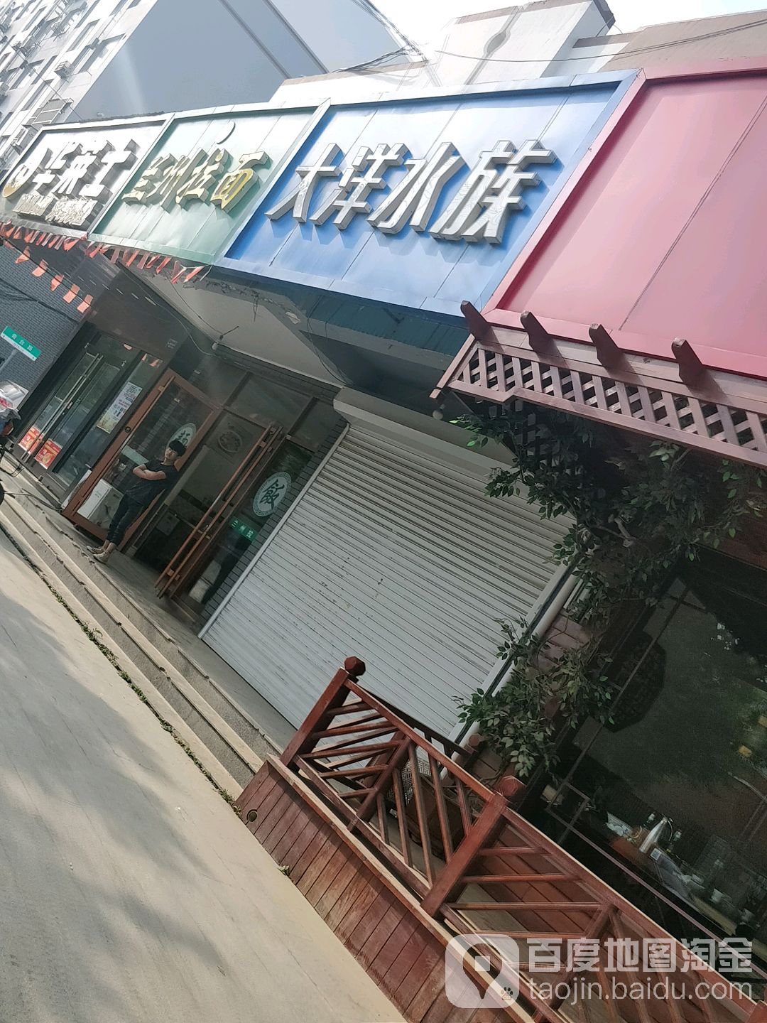 大洋水族(王台路店)