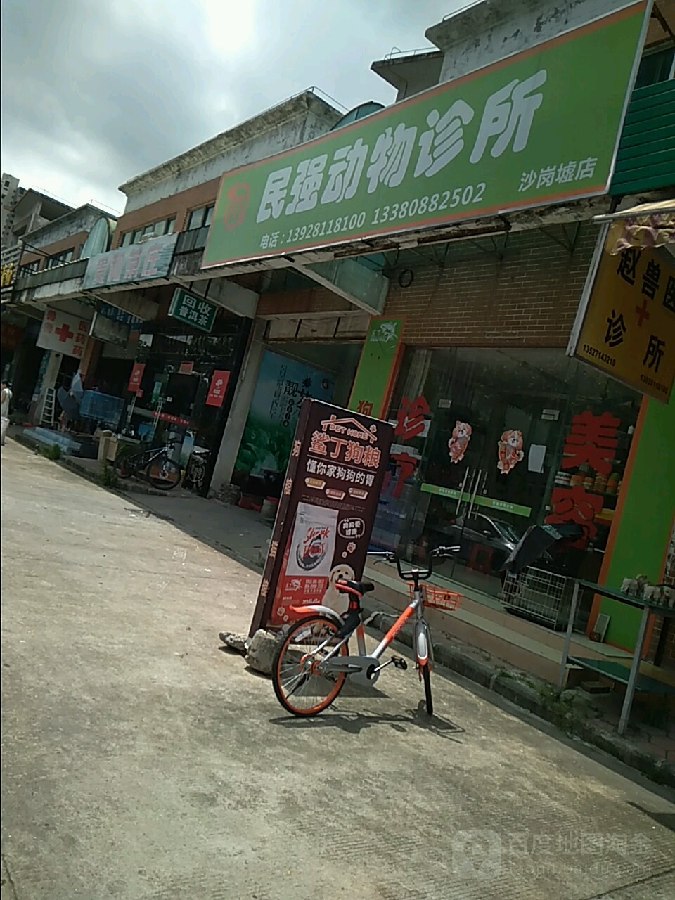 民强动物会所(沙岗墟店)