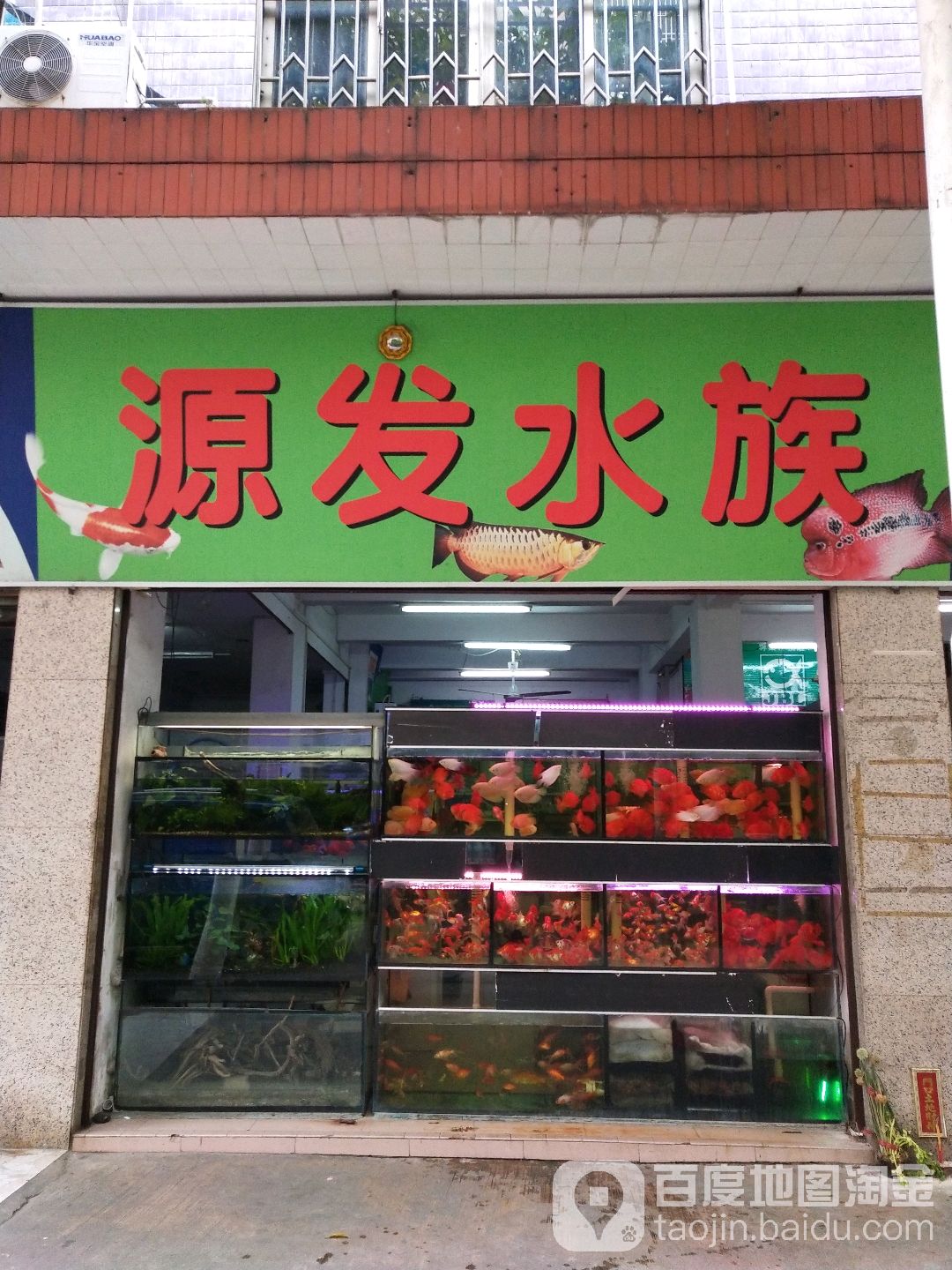 源发水族