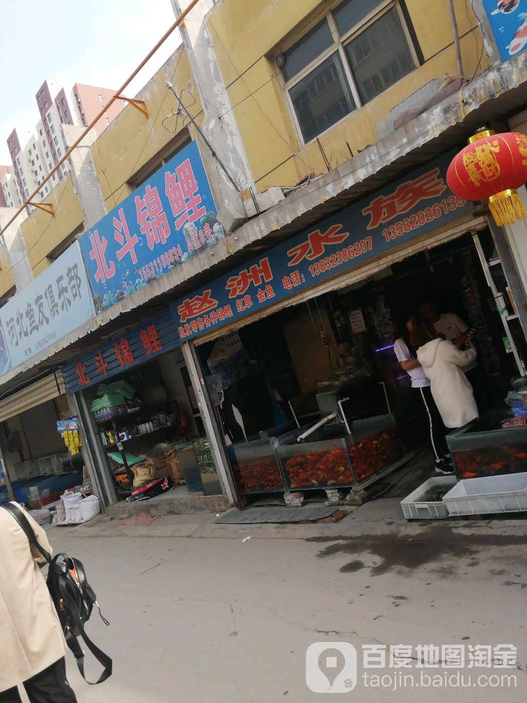 赵洲水族