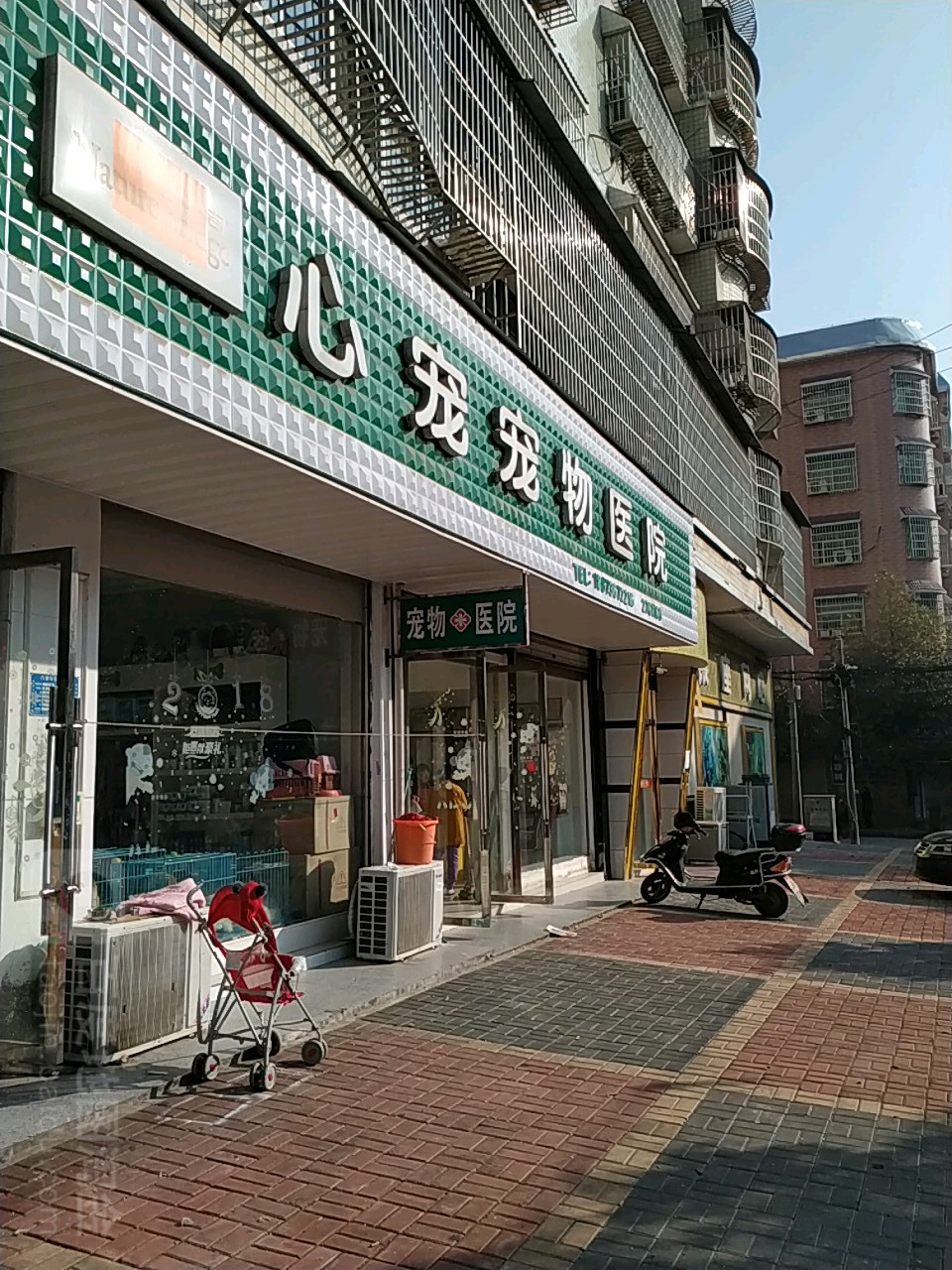 心宠宠物诊所