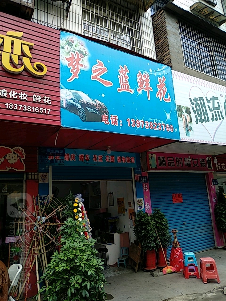 梦之蓝鲜花(凤阳街店)