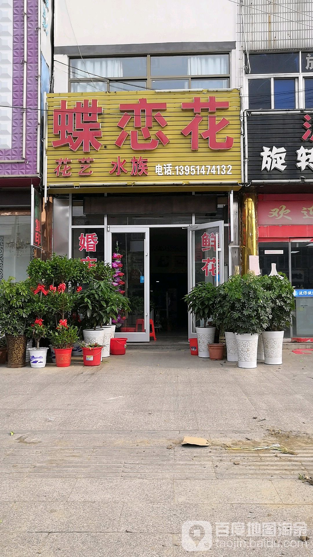 蝶恋花花一(文明东路店)