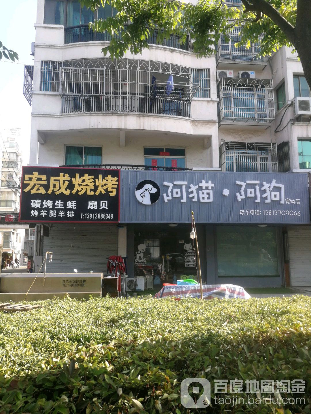 阿猫阿狗宠物店