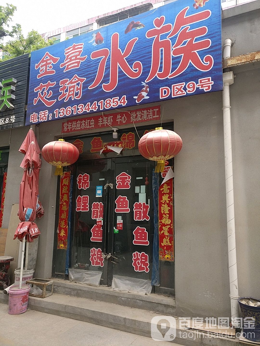 金喜芯瑜水zu