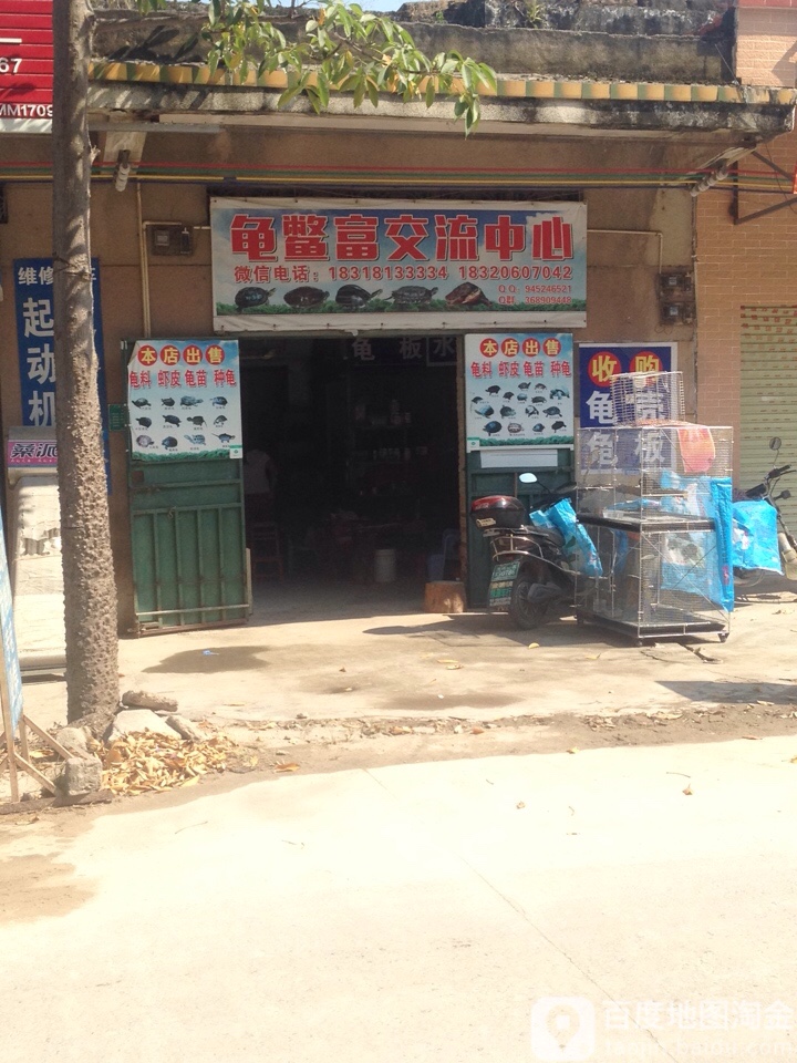 龟鳖富交流中心