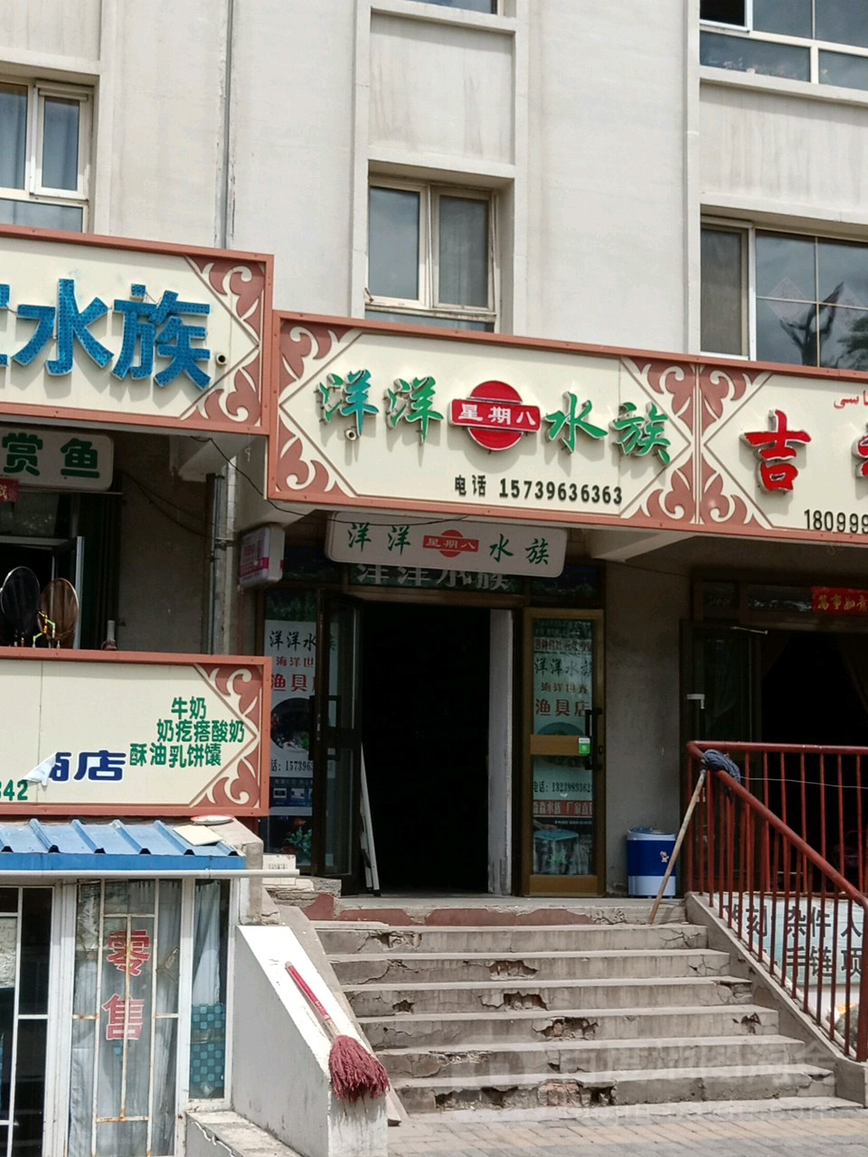 阳阳星期八水族