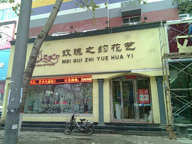 玫瑰之约花艺(玫瑰之约花房)