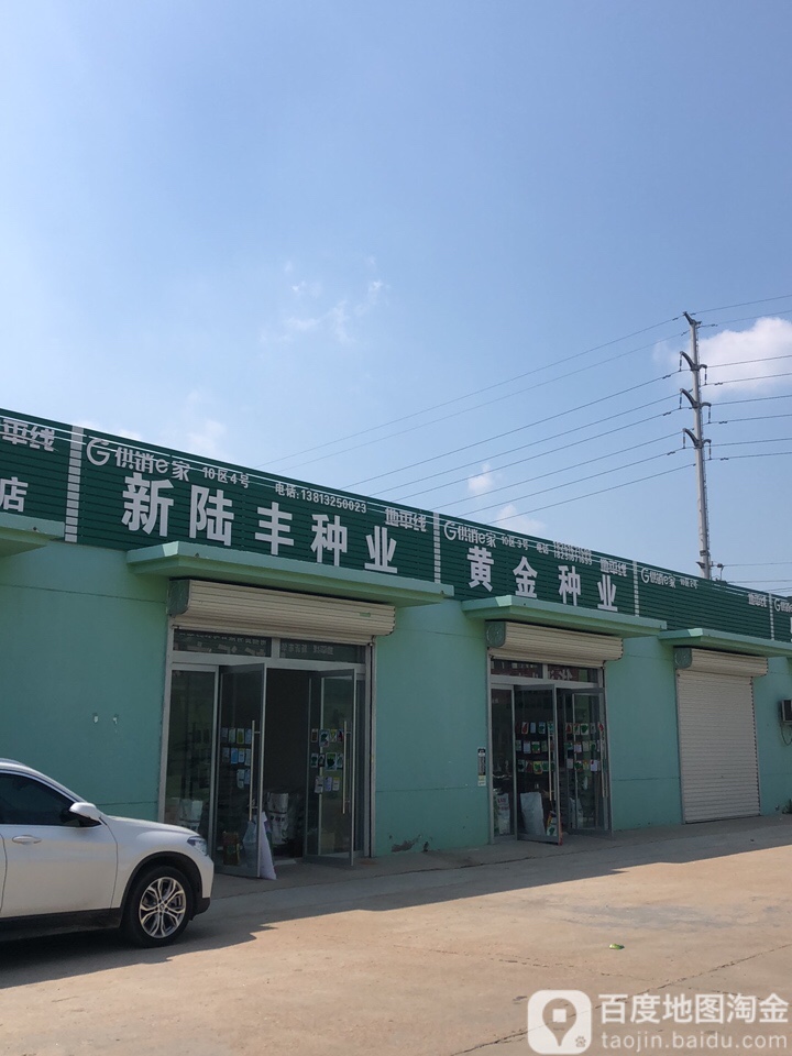 黄金种业