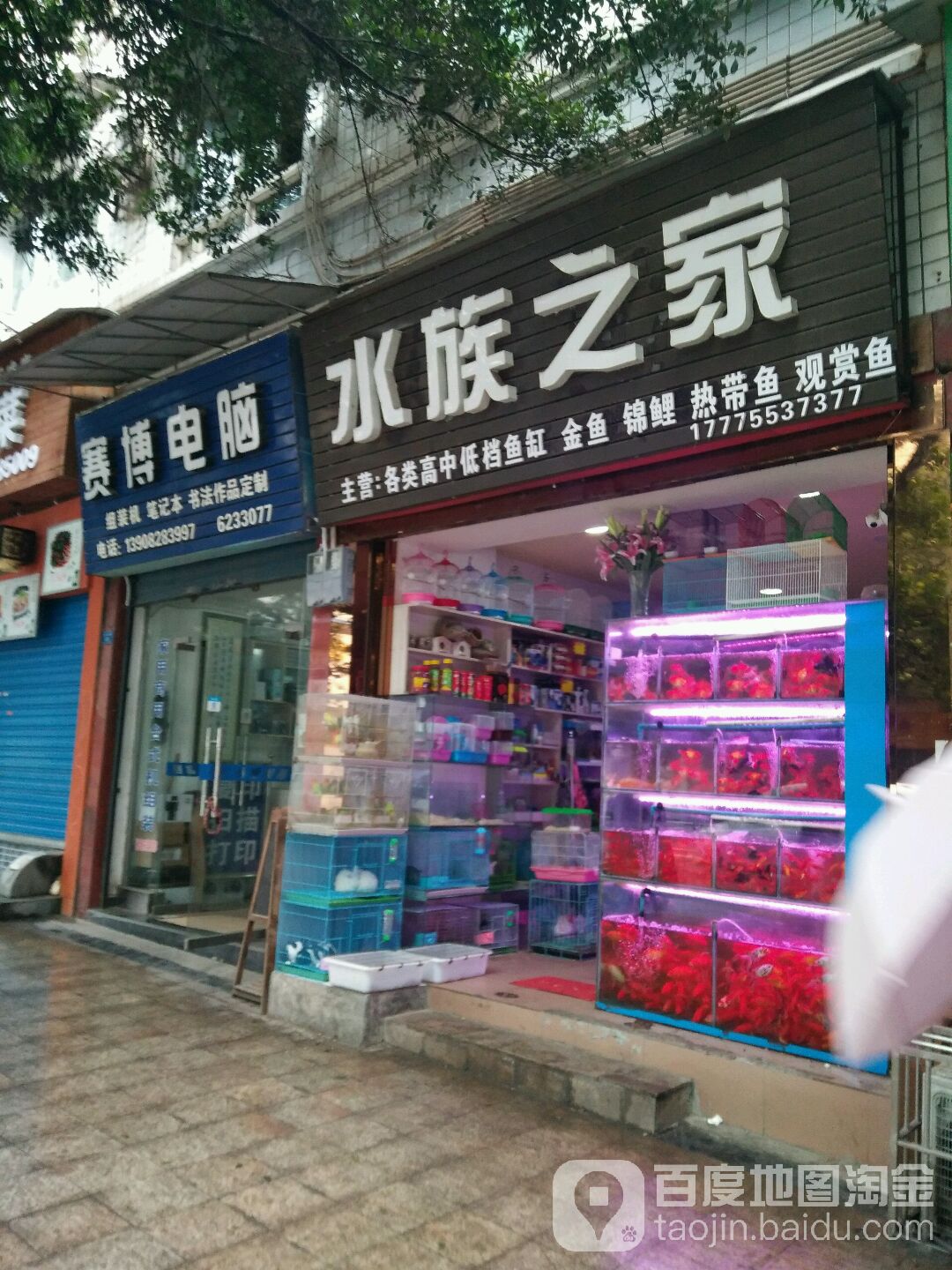 水族之家(振兴路店)