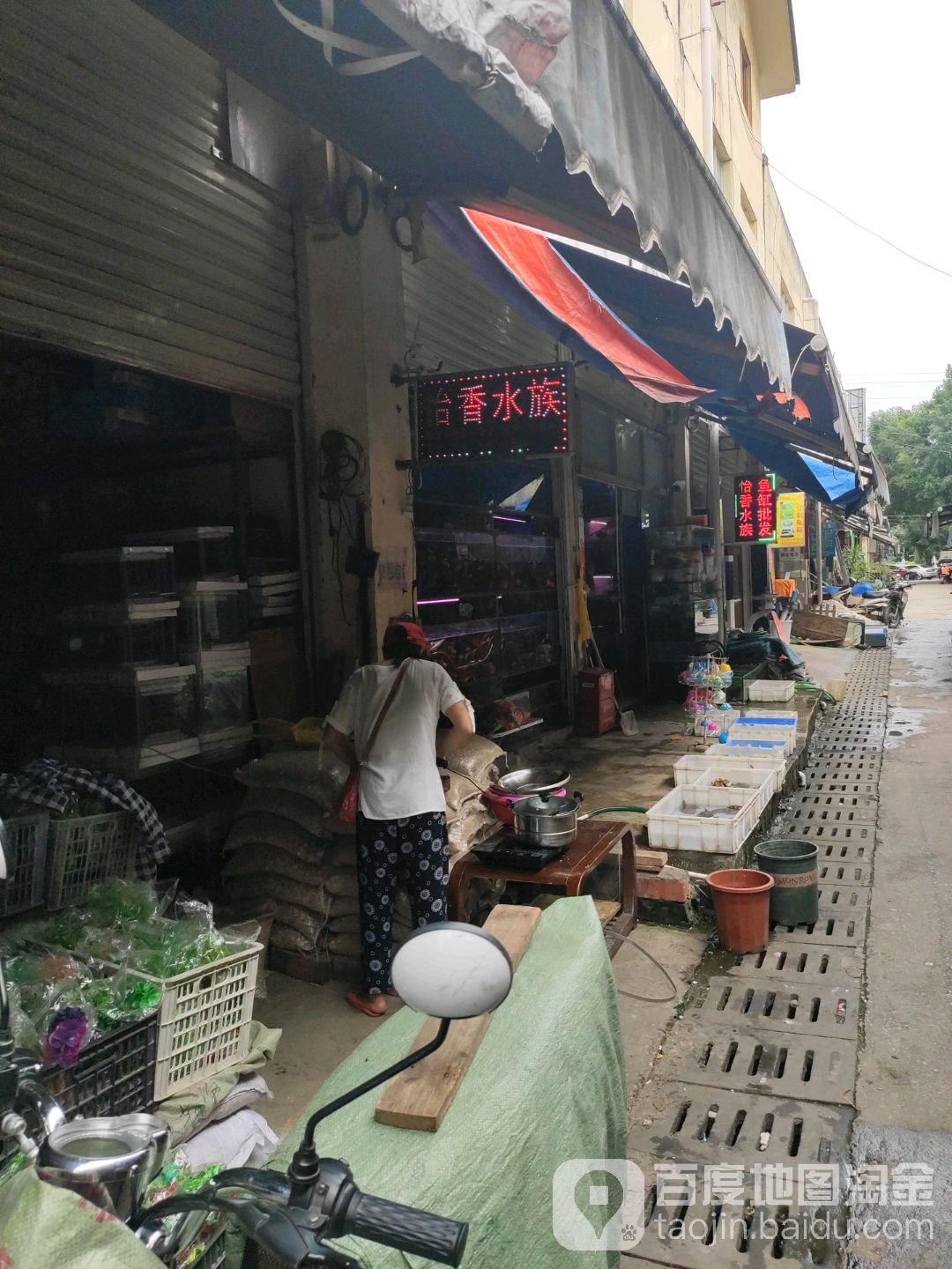 怡香水族