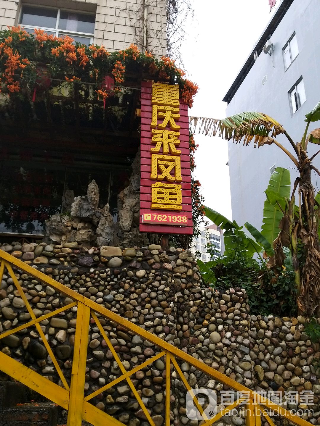 重庆莱凤鱼(建水店)