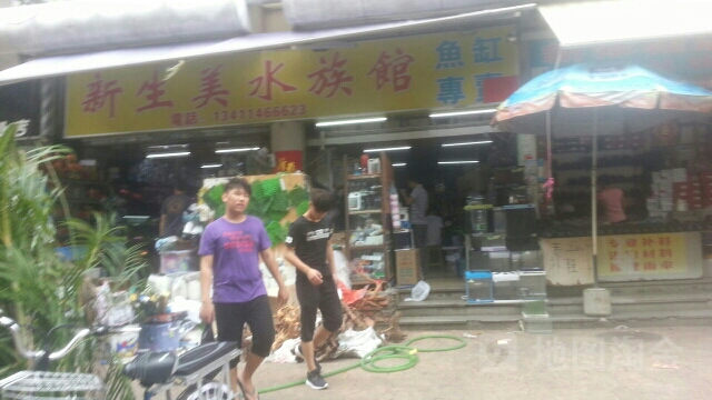 新生美水族馆(华策大厦店)