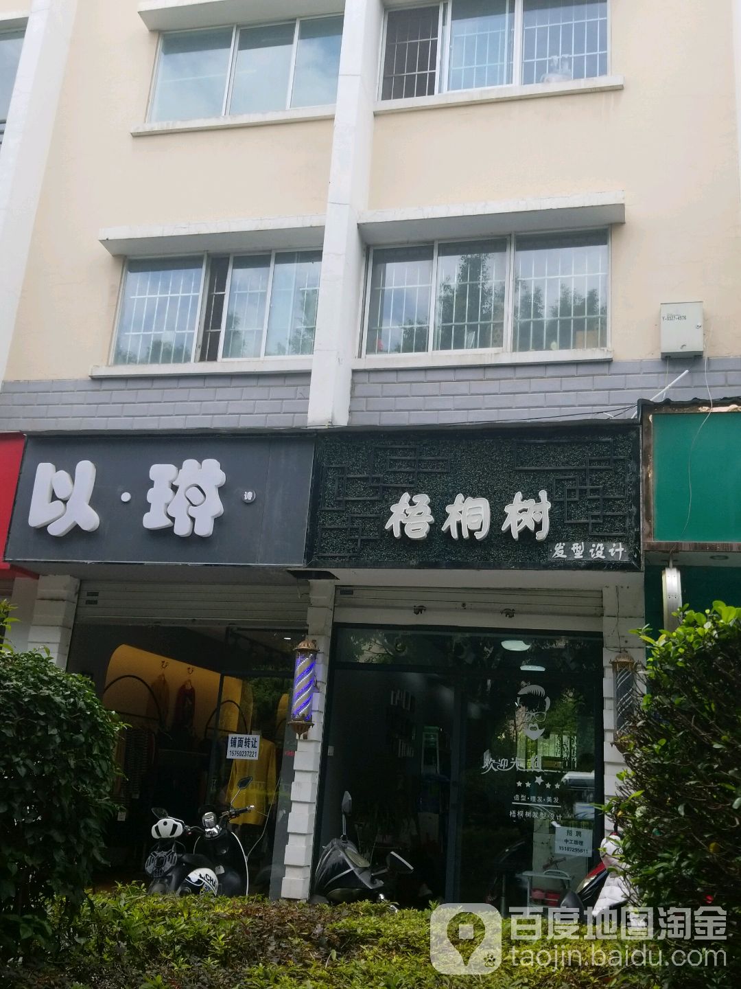 梧桐树发型设计