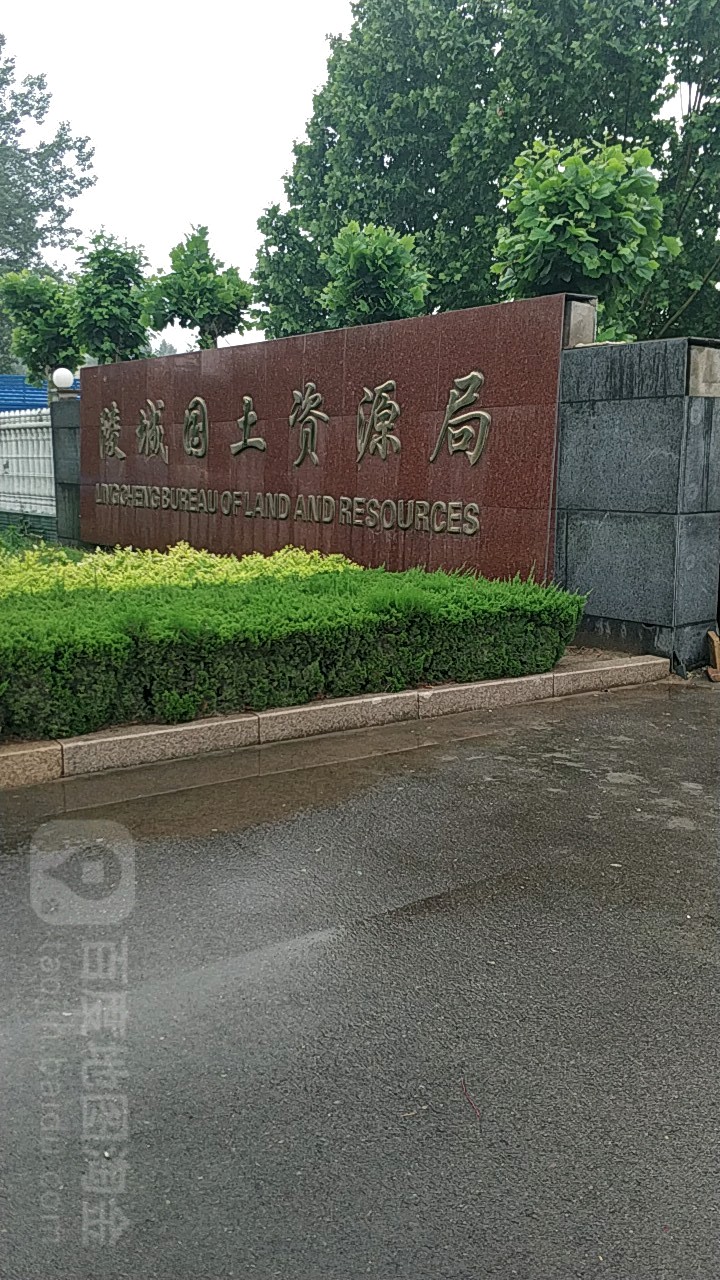 德州市自然资源局陵城分局