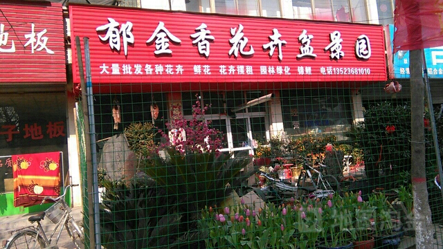 沈丘县槐店回族镇郁金香花卉盆景园